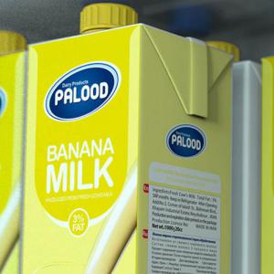 Palood Milk Packaging Design
